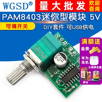 PAM8403迷你5V数字功放板WGSDDIY