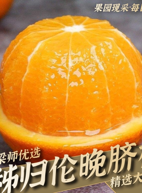 「果园直发」秭归伦晚脐橙脐橙子新鲜当季水果孕妇（坏果包赔）