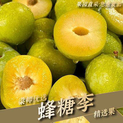 「李中皇后」贵州蜂糖李脆甜醇香新鲜水果整箱(坏果包赔)