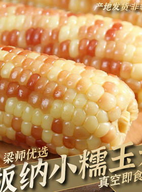 云南西双版纳香糯小玉米5斤8斤非转基因速食即食（独立真空包装）