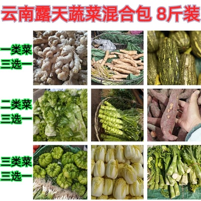 多种蔬菜混合发货整箱共8斤净重