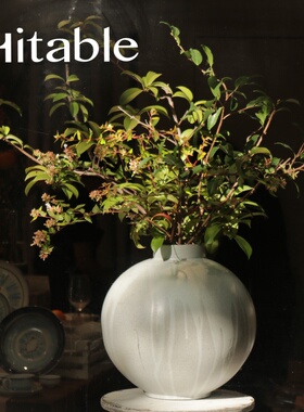 Hitable 天球瓶陶瓷落地餐桌大花器花瓶自然原创设计