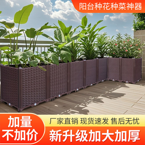 阳台种植箱种菜盆种月季加厚