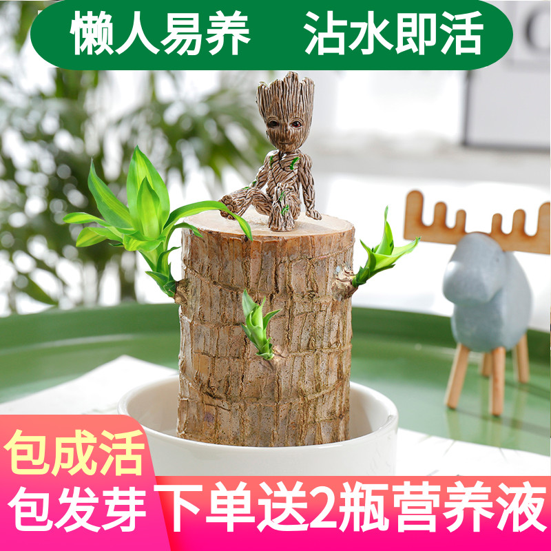 网友分享在meiguo.com的图片