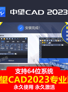中望cad2023软件安装专业版中文简体软件免激活包代远程定制服务