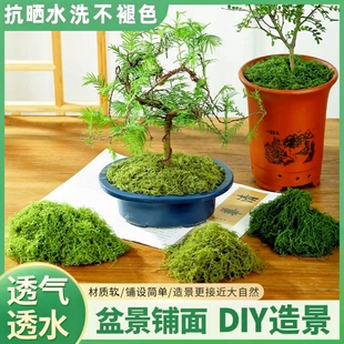 仿真苔藓假草皮diy人造青苔丝状草坪绿植装饰微景观假山造景盆栽