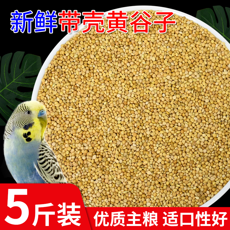 新黄谷子中小型鹦鹉饲料带壳小米