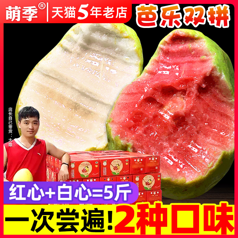 树熟软糯红白混搭芭乐5斤番石榴