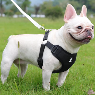 狗狗背心式牵引绳中小型犬柴犬柯基法斗胸背带外出防挣脱小狗绳子