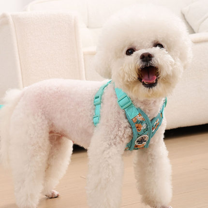 狗狗牵引绳背心式小型犬泰迪博美胸背带宠物小狗幼犬遛狗绳狗绳子