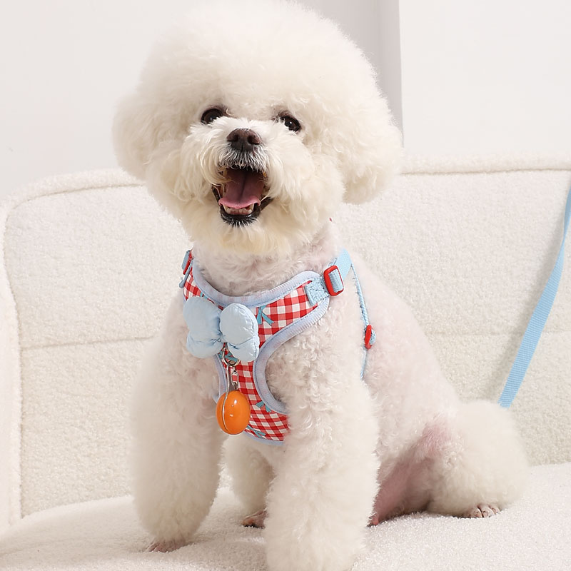 狗狗牵引绳背心式小型犬泰迪比熊博美胸背带小狗幼犬遛狗绳狗链子