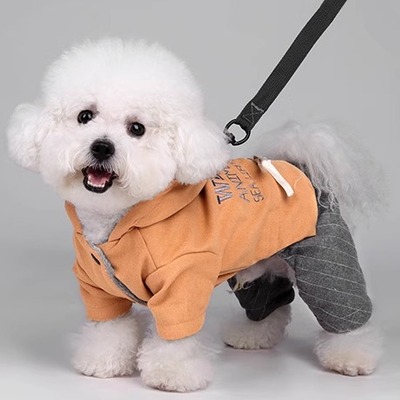 狗狗衣服比熊泰迪小狗冬天棉衣宠物柴犬冬季可牵引带帽四脚衣棉服