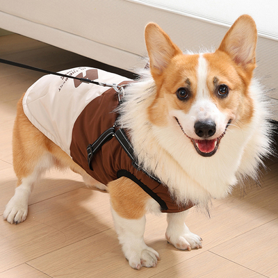 狗狗衣服冬装柯基柴犬中小型犬比熊泰迪保暖棉背心可牵引宠物衣服