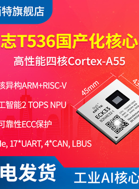亿佰特全志T536四核核心板A55多核异构ARM+RISC-V+NPU工业开发板