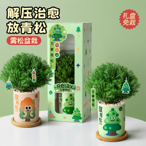 植季放青松雾凇盆栽生日礼物送礼