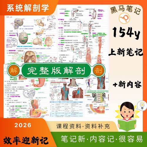 纠错2026完整版154页解剖学笔记系统学人体高分知识点笔记本整理