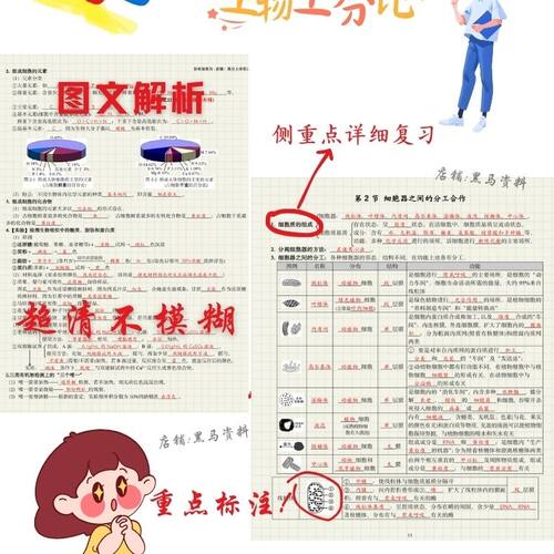 高中生物手写笔记清华学长生物知识体系考点整理148页笔记本