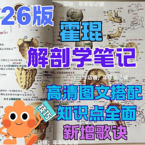 26升级版霍琨系统解剖学笔记本彩色打印胶装解剖知识点笔记本