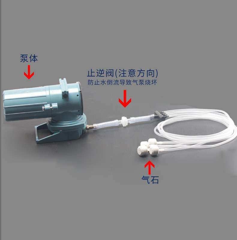 交直流空气泵12V增氧气泵220v两用蓄电池软管水族馆点烟器止逆阀|ruв категории животное/Животное питание и принадлежностей, аквариум мира, аквариум аквариум оборудования и т.д., Чонг кислородный насос - от Buy2taobao.com для оказания профессиональной услуги покупки агента Taobao