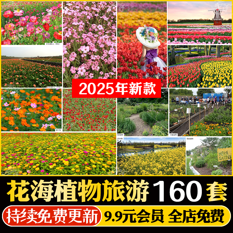 花海植物园康养小镇农庄旅游区策划规划景观设计方案文本CAD图PPT