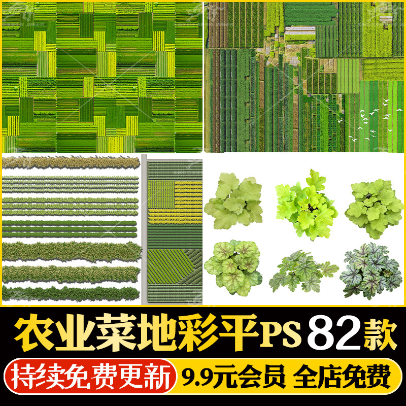 美丽乡村田园农业农场菜园规划彩平图菜地蔬菜贴图psd分层源文件