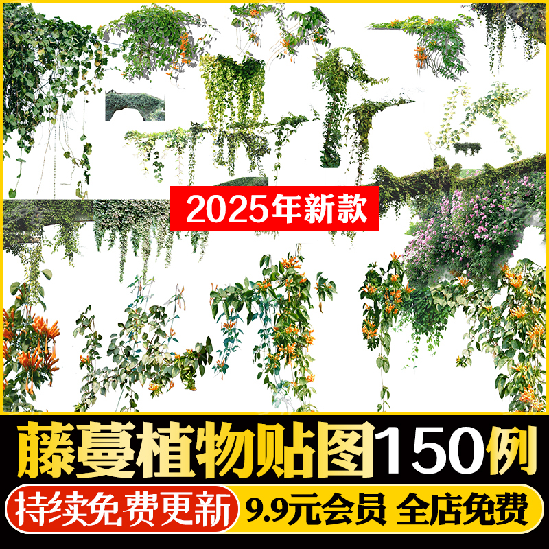 藤本藤蔓景观攀爬植物贴图PSD常春藤铁线莲五叶地锦长春蔓PS素材