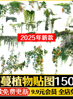 藤本藤蔓景观攀爬植物贴图PSD常春藤铁线莲五叶地锦长春蔓PS素材