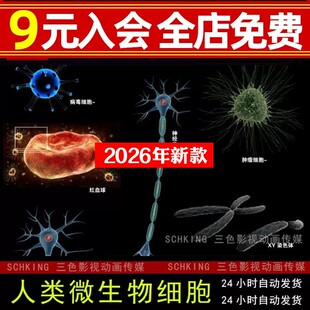 人体人类微生物病毒肿瘤细胞医学院病毒神经元XY染色体3Dmax模型
