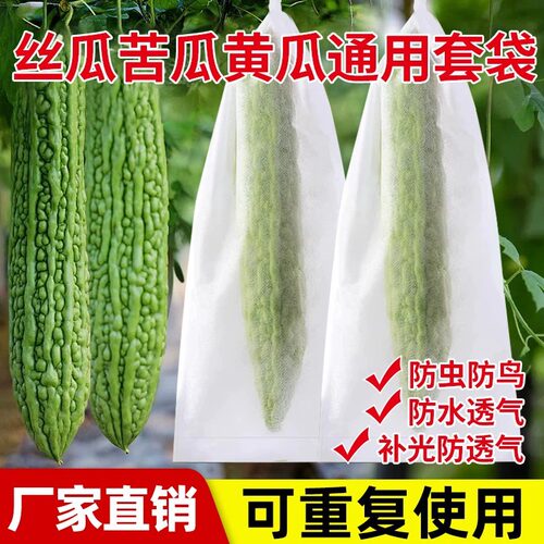 瓜果蔬果套袋丝瓜黄瓜苦瓜茄通用