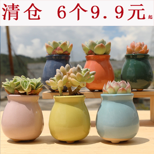 控型冰裂彩虹迷你小盆流釉特价 多肉花盆陶瓷透气简约创意个性 清仓