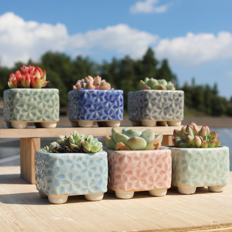 С�ŷ�������-�� �մ� ��С ���⻨���մ�ӡ�´�����Կɰ�С��Ĵָ����ѷ���͸�������ؼ� 6.92Ԫ��2��(��3.46Ԫ/��)