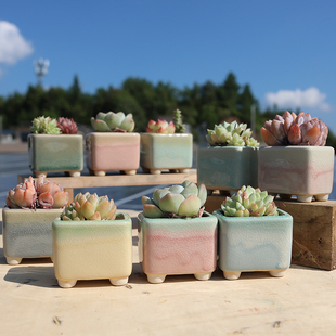 多肉花盆陶瓷方形控养创意个性桌面控型小群生彩虹渐变色可爱盆栽