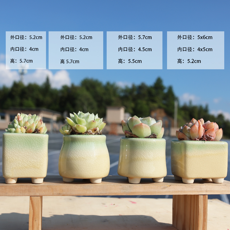 白瓷小花盆多肉陶瓷拇指盆