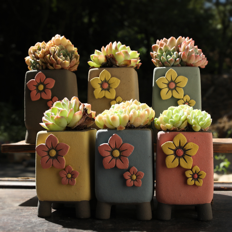 透气爆裂韩式法师包邮多肉花盆