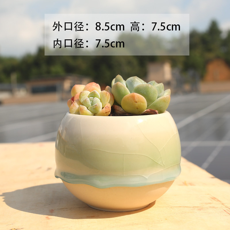 彩虹花盆清新流釉冰裂多肉花盆