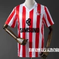 88-89 Third Jersey