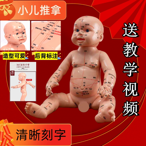 小儿推拿模型宝宝推拿按摩练习
