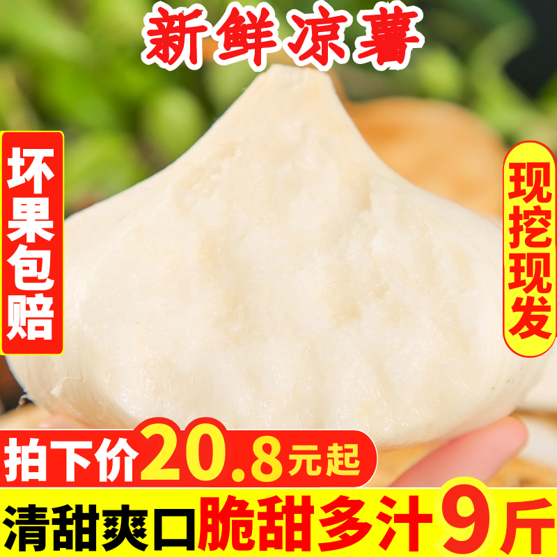 凉薯农家特产现挖新鲜白地瓜萝卜9斤蔬菜水果山芋清甜沙葛土番薯 水产肉类/新鲜蔬果/熟食 番薯 原图主图