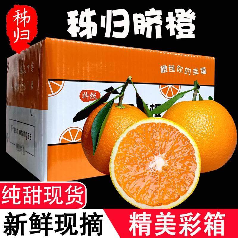 应季 湖北 彩箱 新鲜水果 整箱 秭归脐橙