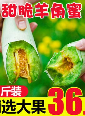 羊角蜜甜瓜包邮新鲜水果孕妇应季当季脆甜小香瓜现摘5斤整箱