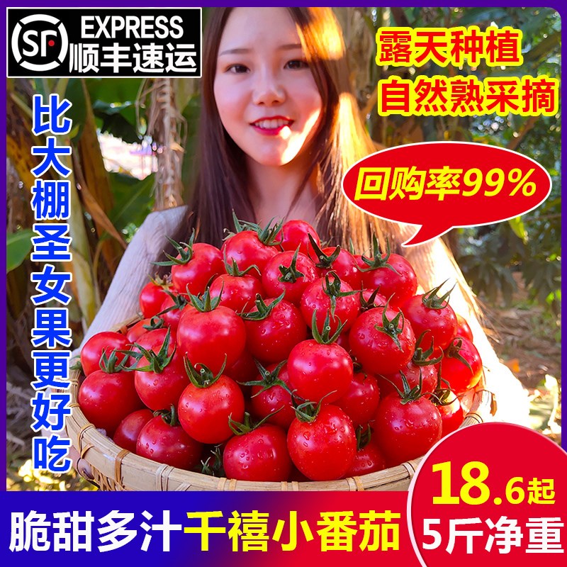 攀枝花千禧樱桃小番茄5斤迷你小西红柿自然熟生吃孕妇蔬菜圣女果