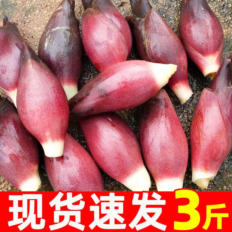 阳荷姜新鲜洋荷洋河蘘荷姜3斤野生阳和姜蔬菜阳藿洋胡姜蔬菜包邮