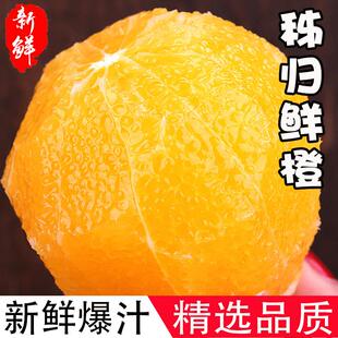 江西赣南脐橙子当季新鲜水果10斤5应季整箱果冻橙冰糖甜3赣州大果