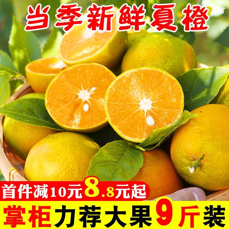 秭归脐橙孕妇当季水果包邮新鲜