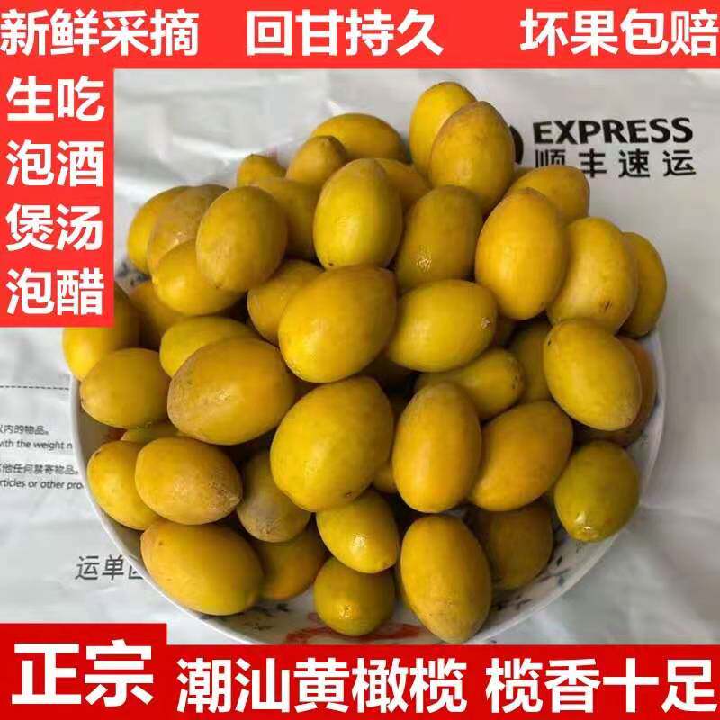 广东潮汕金黄檀香橄榄1斤新鲜现摘水果生吃煲汤甜橄榄金灶香橄榄,水产肉类/新鲜蔬果/熟食,其它,淘宝优惠券,粉丝福利购,淘宝优惠卷