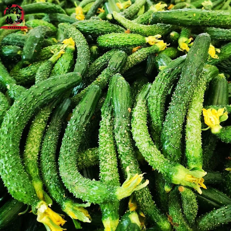 山东新鲜小黄瓜仔酱瓜可腌制咸菜酱菜黄瓜妞小青瓜5斤生鲜农家菜