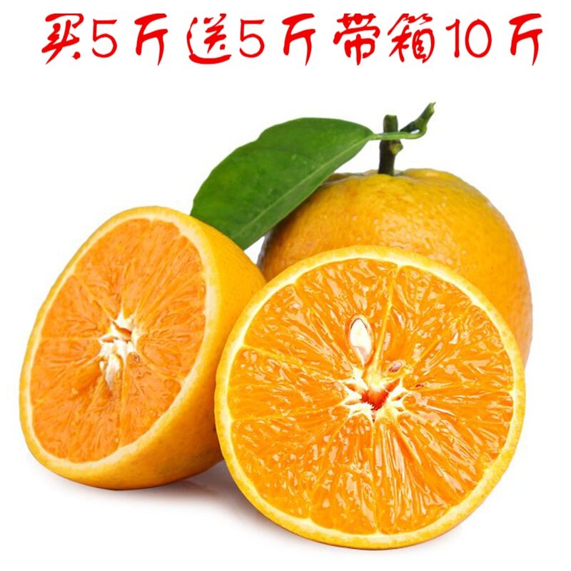 湖北脐橙夏橙当季时令新鲜水果橙子净重5斤包邮果冻橙