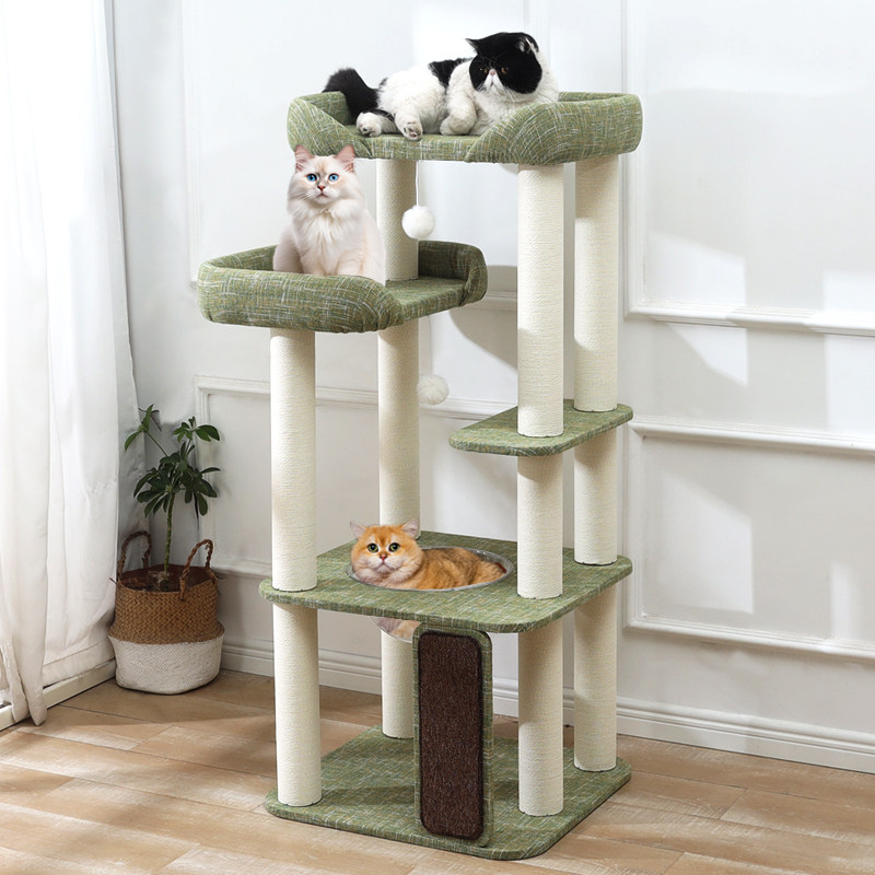 è����è��è��һ���è�ܴ���èץ��̫�ղ�������������èר�� 378.96Ԫ