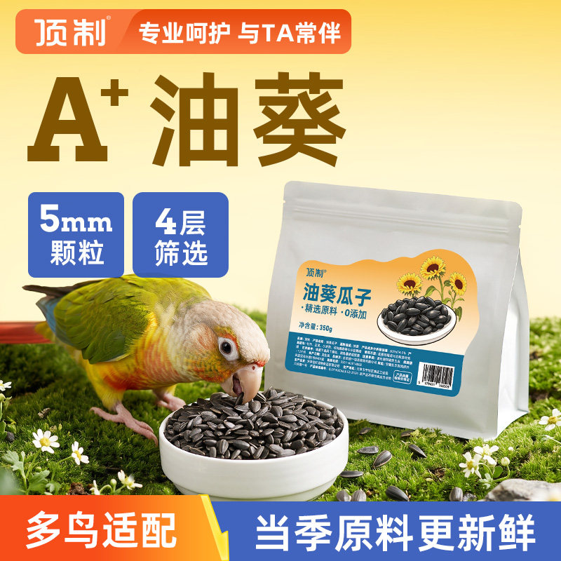 顶制鹦鹉油葵小瓜子鸟粮葵花籽专用零食饲料训练奖励大颗粒