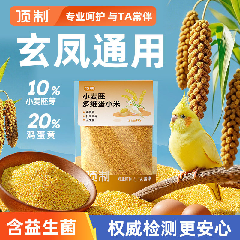 顶制玄凤鹦鹉多维蛋小米图片